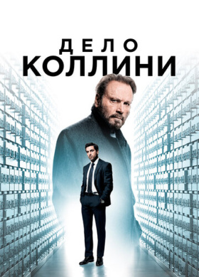 Дело Коллини